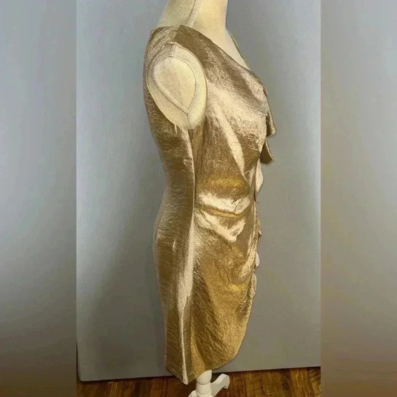 Suzy Chin for Maggy Boutique NWT Oyster Cocktail occasion Dress, zip back - Picture 4 of 9